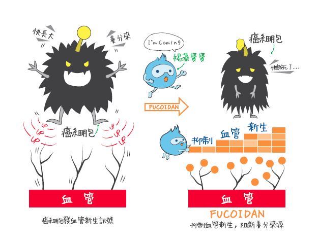抑制癌細胞周遭血管新生